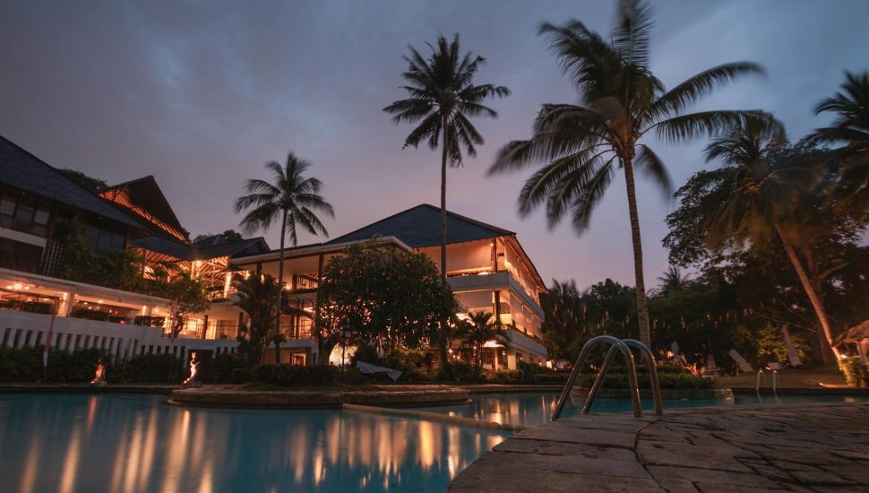 palm trees at night