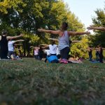 women performing yoga on green grass near trees